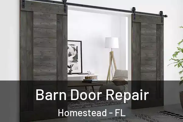 Barn Door Repair Homestead - FL