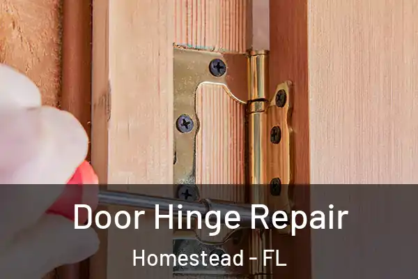  Door Hinge Repair Homestead - FL