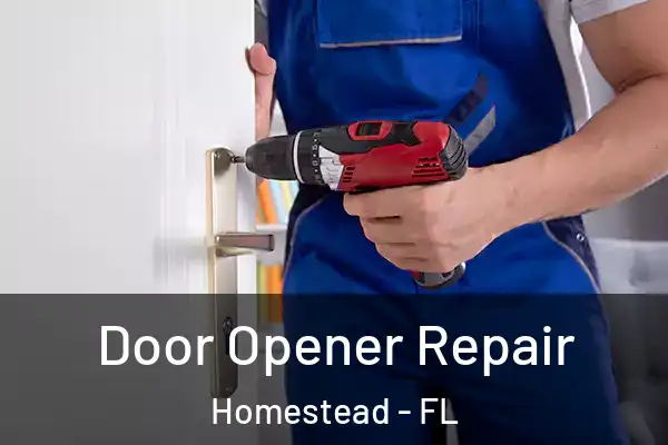 Door Opener Repair Homestead - FL