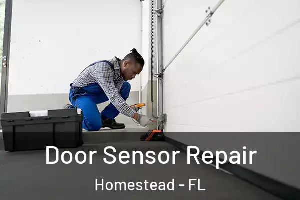  Door Sensor Repair Homestead - FL