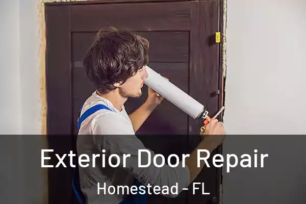 Exterior Door Repair Homestead - FL