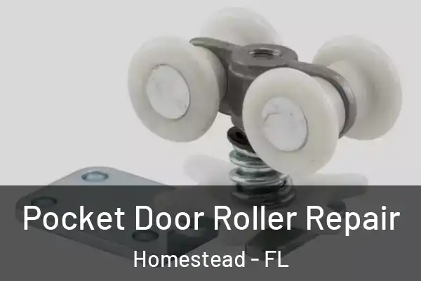 Pocket Door Roller Repair Homestead - FL
